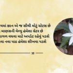 Latest Vidya Shayari Status in Gujarati
