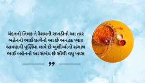 Raksha bandhan shayari in Gujarati (2)