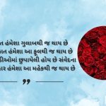 gulab shayari love in Gujarati